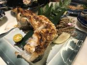 14-Toothfish-Product-2-Collar