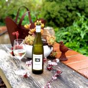 1-Paracombe-Pinot-Blanc