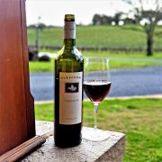 2-Paracombe-Tempranillo1