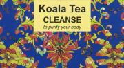 KoalaTeaCompanyCleanseTeaND