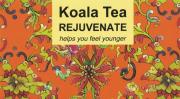 KoalaTeaCompanyRejuvenateTeaND
