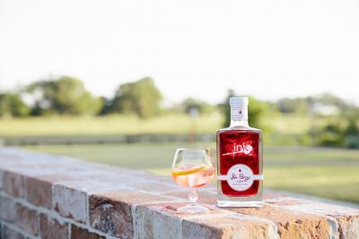 Sip Ink Sloe and Berry Gin on the rocks. 