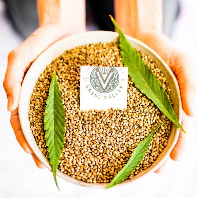 Roasted Hemp Seeds