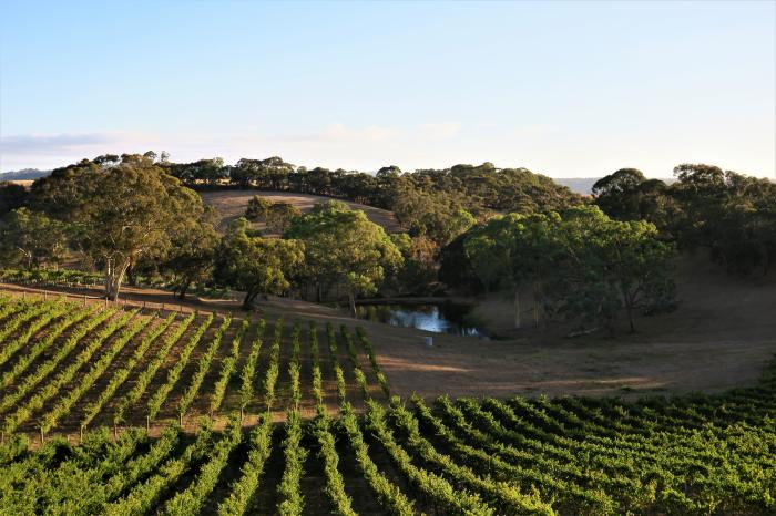 Breathtaking Adelaide Hills view