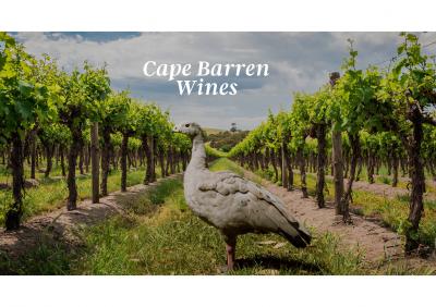 Cape Barren Wines