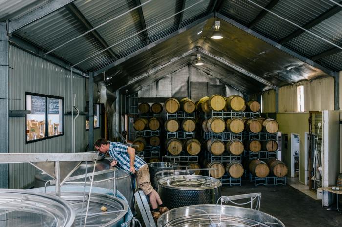 The Winery is always busy at Passing Clouds: Head Winemaker, Cameron Leith, checking tanks during vintage