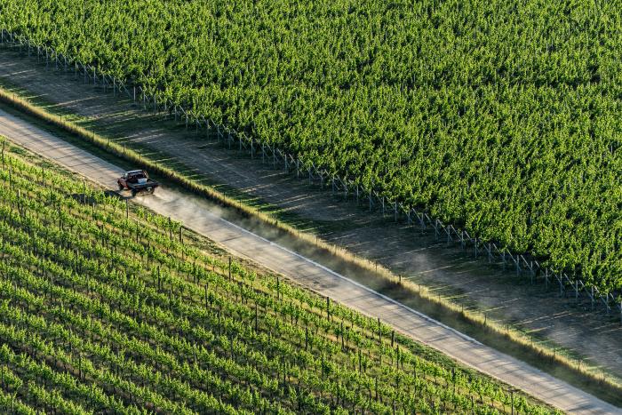 Our vineyard in Central Otago, New Zealand